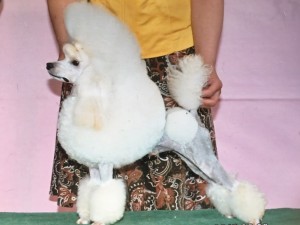 ひびき